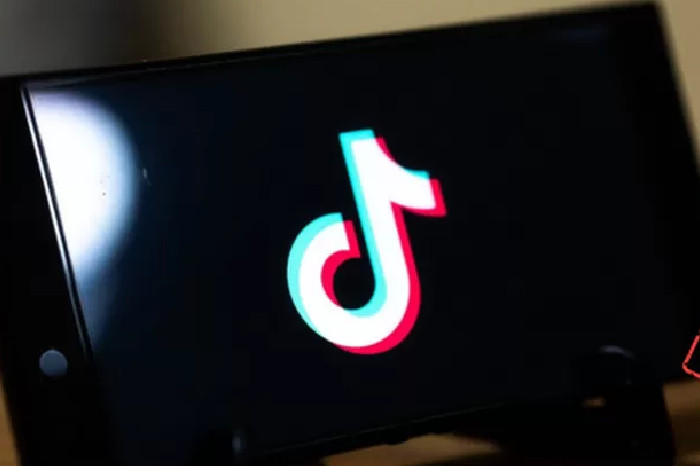 Aplikasi Tiktok (Pixabay)