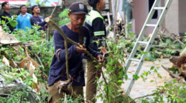 Tanggap Darurat, Tim Gabungan Evakuasi Pohon Tumbang di Pulau Pramuka (PPID Jakarta)