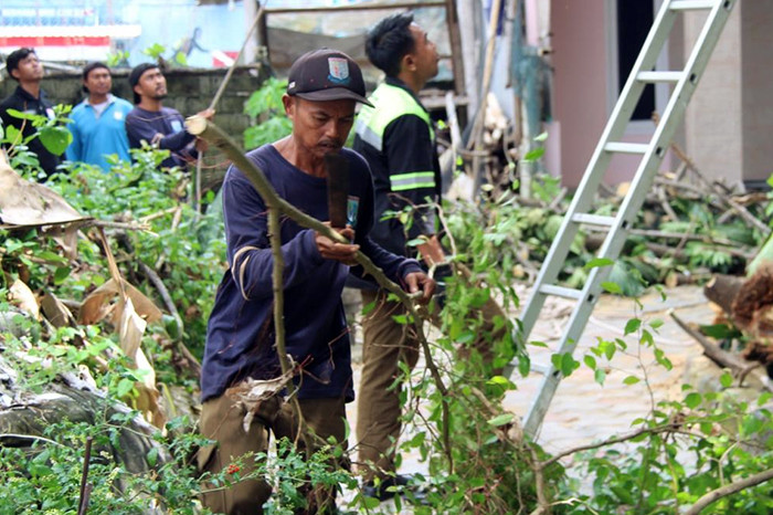 Tanggap Darurat, Tim Gabungan Evakuasi Pohon Tumbang di Pulau Pramuka (PPID Jakarta)