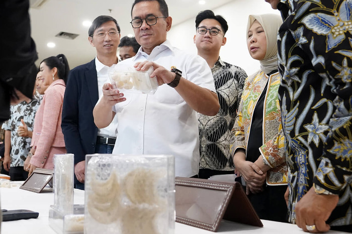 Indonesia Perkuat Ekosistem Perdagangan Sarang Burung Walet dengan Mitra Tiongkok (Kemendag)